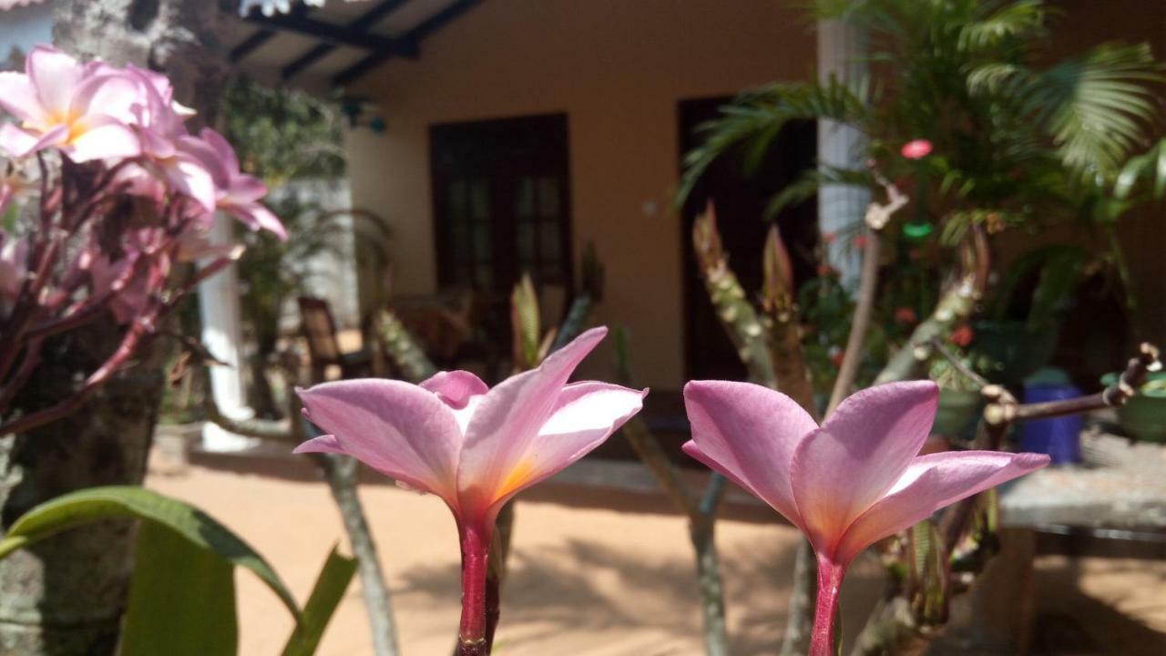 Sampathaa Residence Negombo Habitación foto